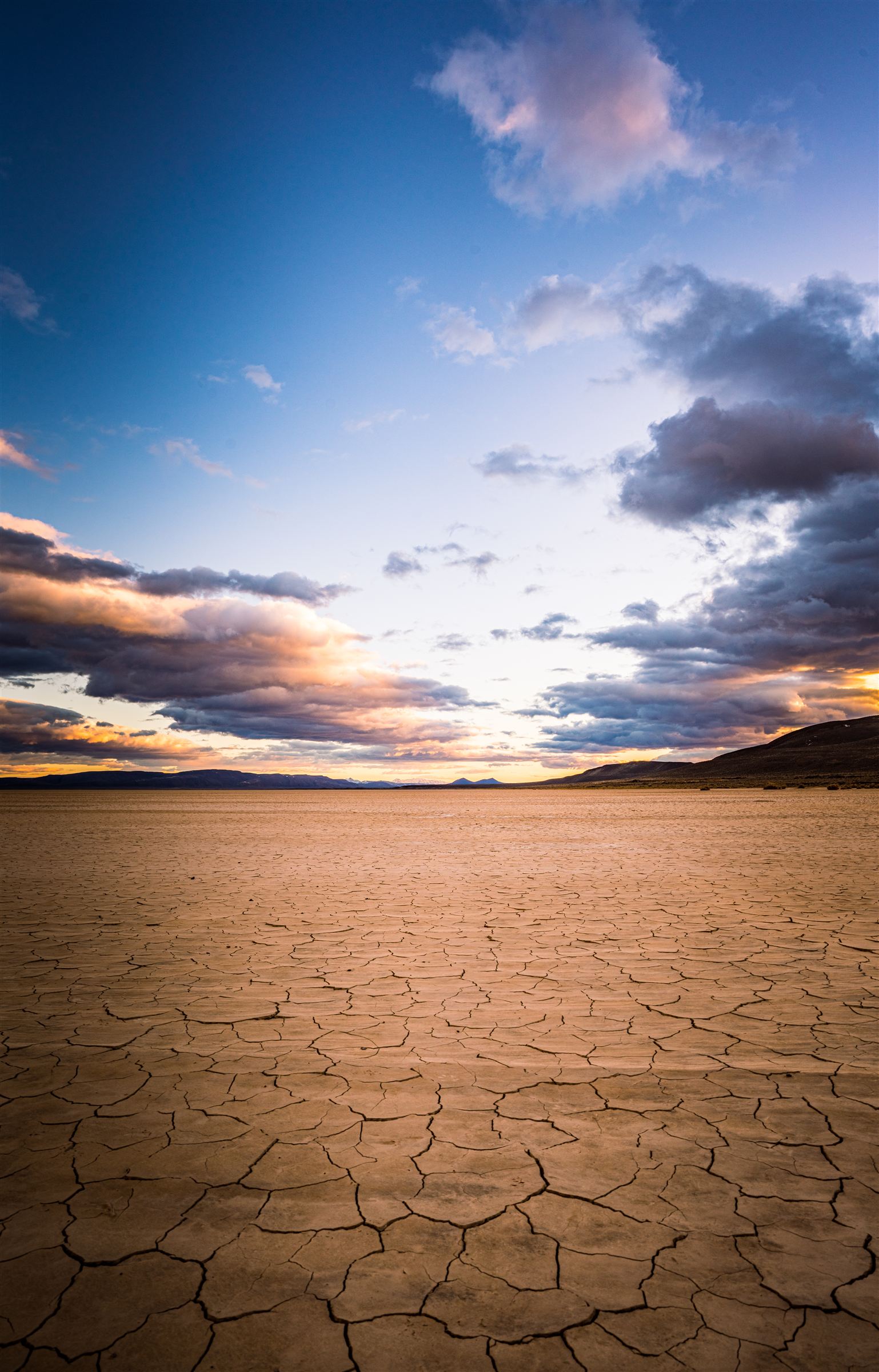 The cracked floor of the Alvord playa